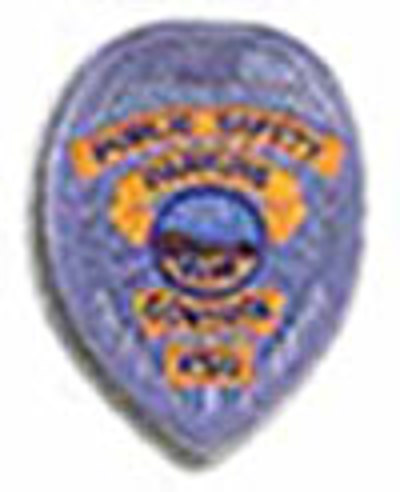PUBLIC SAFETY PARKING CONTROL